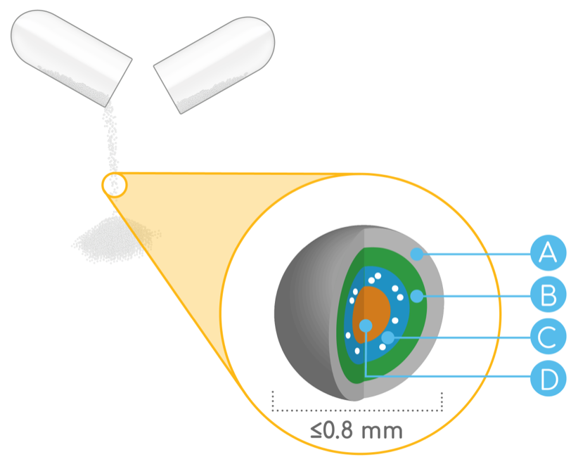 Alkindi Sprinkle granules are less than, or equal to, 0.8 mm.